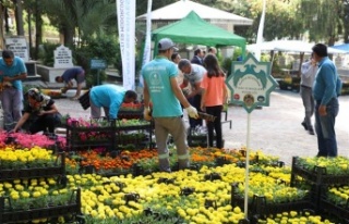 Alanya Belediyesi bayramda ücretsiz 60 bin çiçek...