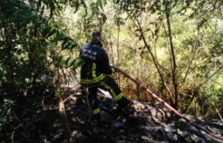 Alanya'da 1.5 dönüm ormanlık alan kül oldu