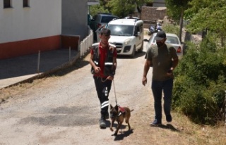 Antalya'da 9 gündür kayıp olan Miyase nine...