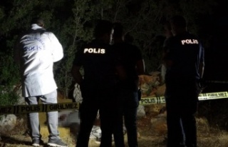 Antalya’da ormanlık alanda erkek cesedi bulundu
