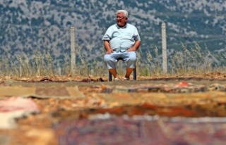 Antalya’da tarlalarda milyonluk 'organik halı'...