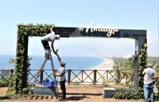 Aşırı sıcaklar karşısında kuruyan çiçekli...