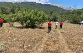 Dün sabah evden ayrılan yaşlı kadın için JAK...