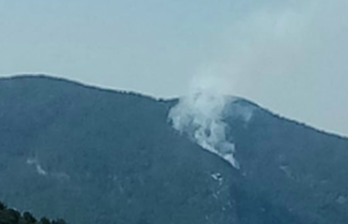 Gazipaşa'da orman yangını