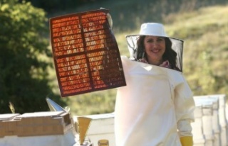 Londra’daki bal yarışmasından altın madalyayla...