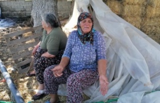 Manavgat yangının yıldönümünde yine yangınla...