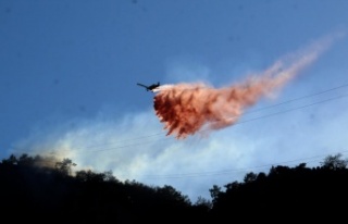 Orman yangını kontrol altına alındı