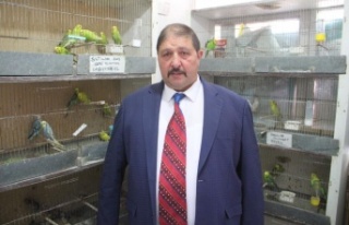 Petshoplar Kasaplar Odası'na bağlandı