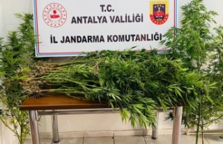 18 yıl önce vefat eden adamın kullanılmayan evinin...