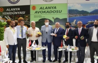 Şahin'den müjde: Alanya muzu tescillendi