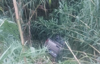 Alanya’da kontrolden çıkan kamyonet sazlığa...