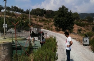 Alanya’nın o mahallesinde çalışmalar başladı