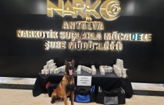 Antalya'da bir TIR'da 50 kilo uyuşturucu...