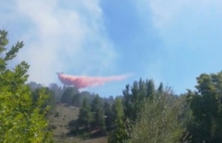 Antalya'da çıkan orman yangını kısmen kontrol...