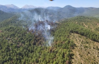 Antalya'da orman yangını kontrol altına alındı