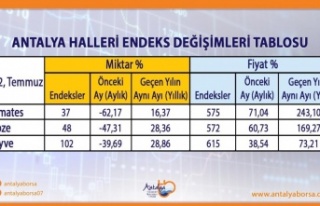 Antalya Ticaret Borsası Temmuz ayı hal endeksini...