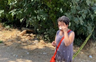 Antalya’da 20 köpeğin zehirlendiği ihbarı