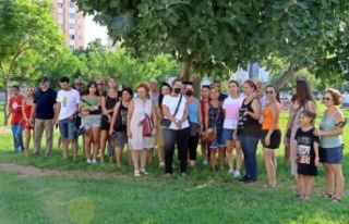 Antalya’da köpek ve kedi zehirlenmeleri hayvanseverleri...