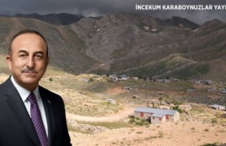 Bakan Çavuşoğlu talimatı verdi: Alanya'daki...