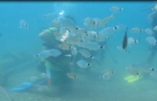 Bakanlığın av yasağı kararı, Akdeniz’de meyvelerini...