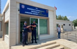 Boşanma aşamasındaki eşini öldüren zanlı yakalandı