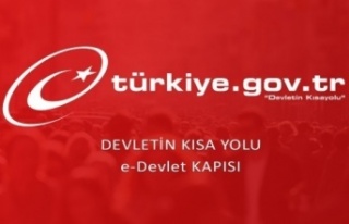 e-Devlet'e iki yeni hizmet daha geliyor!
