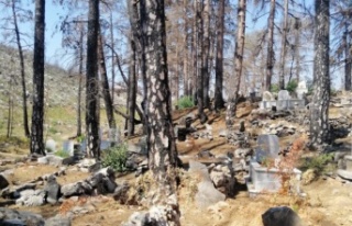 Güzelbağ halkının 'Mezarlarımız tahrip...