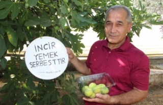 İncirlerini herkes yesin diye tabela astı, duasını...