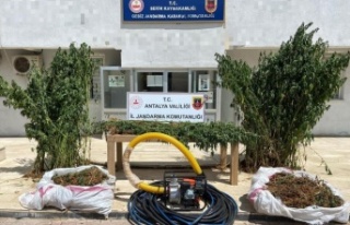 Jandarma 16 kilogram esrar ele geçirdi