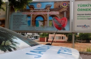 Jandarmadan turistlere 3 dilde trafik bilgilendirmesi