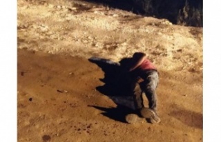 Kontrolden çıkan motosiklet devrildi: 2 yaralı