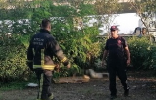 Otluk alanda ceset bulundu