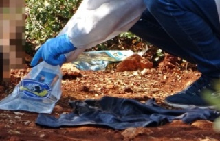 Son mesajı, ‘arama, sorma’ olan 23 yaşındaki...