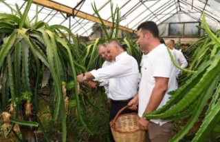 Vali Yazıcı: "En çok tarım ve hayvancılıkla...