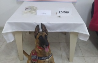 Yolcu otobüsündeki uyuşturucu madde sevkiyatına...