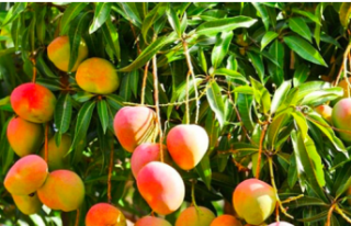 Ziraat Odası'ndan önemli hamle