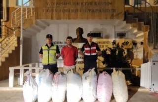 7 çuval keçiboynuzu çalan şüpheliler yakalandı
