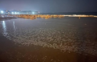 Alanya'da dalgalar plajı göle çevirdi, işletmeci...