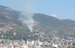 Alanya'da korkutan yangın