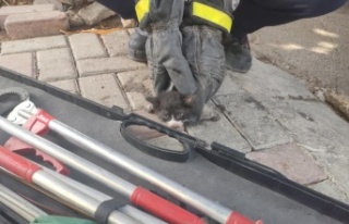 Alanya'da kurtarıldıktan sonra ikinci kez motor...