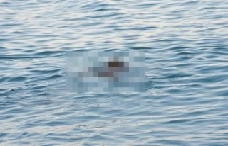 Alanya’da denizde erkek cesedi bulundu