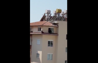 Alanya’da jandarma intihara kalkışan kadını...