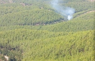 Alanya’da orman yangınında 2 dönüm alan zarar...