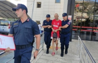 Alanya’da otomobil ve bisiklet çalan Alman tutuklandı