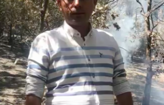 Alanya’daki yangın bölgesi 2 gün kontrol altında...