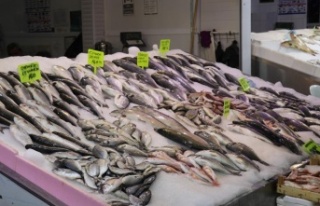 Antalya'da av sezonun açılmasıyla balıklar...