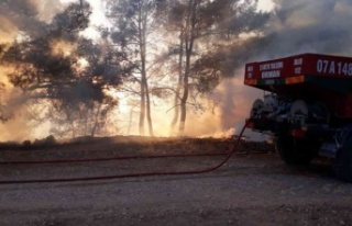 Antalya'da orman yangını büyümeden söndürüldü