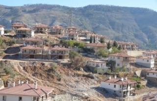 Antalya'da orman yangını sonrası devlet adeta...