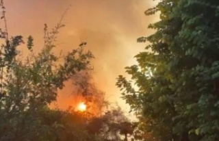 Plaja yakın bölgede çıkan yangın korkuttu