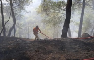 Antalya’da çıkan orman yangını kontrol altına...